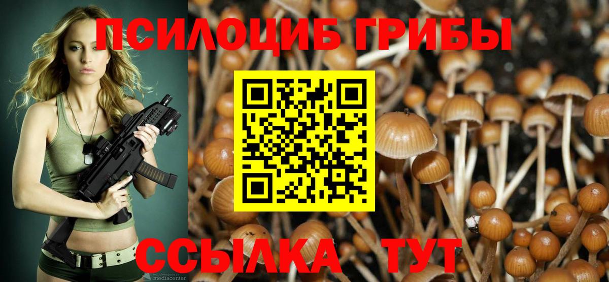 Псилоцибиновые грибы Psilocybine cubensis Коряжма