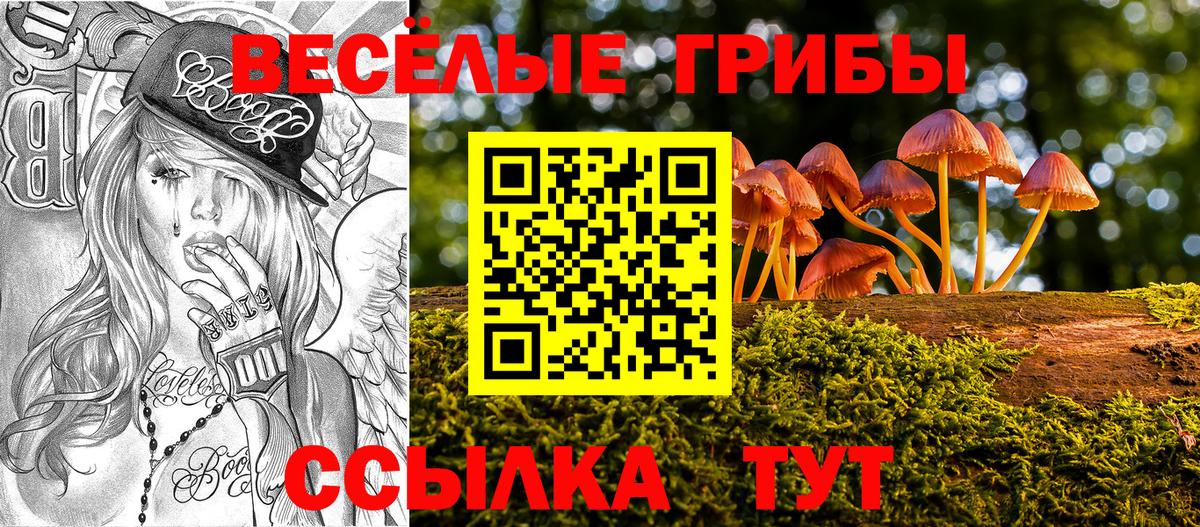 Галлюциногенные грибы MAGIC MUSHROOMS  Вход с VPN  Коряжма 
